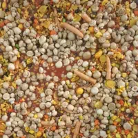 انواع ترشی خانگی، زیتون و خیارشور تازه