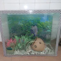 آکواریوم درحدنو