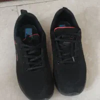 کتانی درحد نویدکیا استفاده شده
