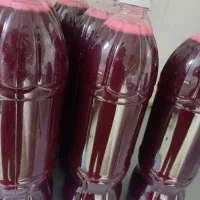 اب زرشک کاملا تازه و. ارگانیک|خوردنی و آشامیدنی|نجف‌آباد, یزدانشهر|دیوار