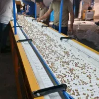 نوار دست چین گروه صنعتی سیفی|ماشینآلات صنعتی|رفسنجان, |دیوار