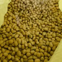 کیلویی 160هزار