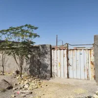 ده قصب زمین حاکم آباد انتهای شهرک صنعتی شماره ۱