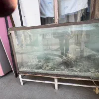 آکواریوم