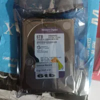 هارد 6 ترا بایت وسترن بنفش