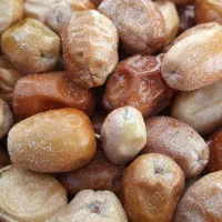 سنجد تازه درشت