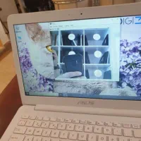 Asus R417s مصرف کننده|رایانه همراه|تهران, نارمک|دیوار