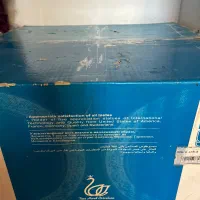 سرویس چینی|ظروف سرو و پذیرایی|ساری, |دیوار