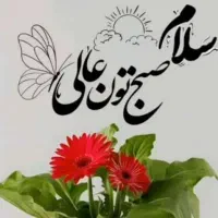 سیم کارت