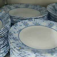 ظروف آرکوپال