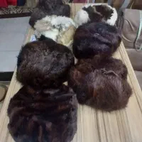 کلاه های روسی اصل
