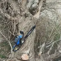 خریدچوب وهرزکاری