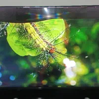 تلویزیون BLST