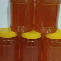 عسل صددرصد طبیعی ژل رویال با ضمانت