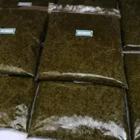 سبزی قورمه سبزی عمده