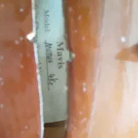 ویلن ماویز|ویولن|تبریز, |دیوار