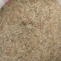 سلام‌خدمت دامداران عزیز یک تن کاه ب فروش می‌رسد