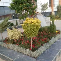 خدمات باغبانی باغچه کاری گلکاری کاشت گل وگیا خاک