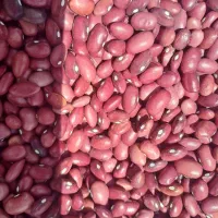 لوبیا قرمز بوجاری شده