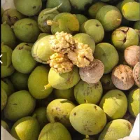 گردوی پر چرب و سفید
