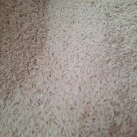 برنج هاشمی جا افتاده و خوش عطر و مرغوب