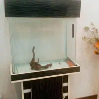 آکواریوم