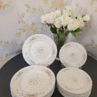 ارکوپال ویکتوریا