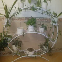 فروش استند گل