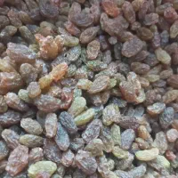 کشمش کاملا ارگانیک