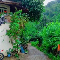 اجاره ویلای جنگلی در بلوردکان