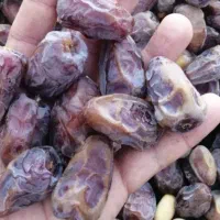 خرمای کبکاب درجه یک