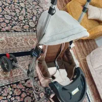 کالسکه وکریر دلیجان|کالسکه و لوازم جانبی|کبودرآهنگ, |دیوار