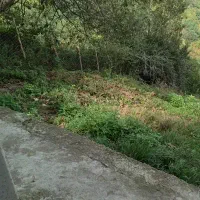 خونه