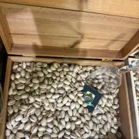 پسته و زعفران تازه