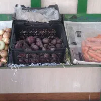 پالت های میوه فروشی