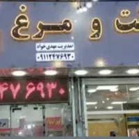 نیروی کار آقا و خانوم کار در مرغ فروشی وقصابی