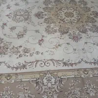 فرش نگین مشهد رنگ کرمی|فرش|علیآباد کتول, |دیوار