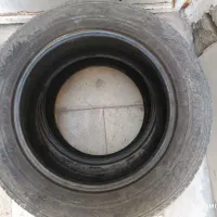 لاستیک پژویی|قطعات یدکی و لوازم جانبی|قم, چهل درخت‎|دیوار