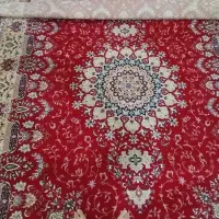 فرش|فرش|بوشهر, |دیوار