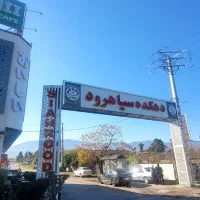 زمین ۲۷۰ متری سیاهرود با سند تک برگ