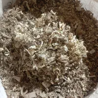 فروش خاک اره خراطی