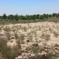 زمین ۵۰۰متری باغی ک نزدیک خیابان اصلیه|فروش زمین و ملک کلنگی|جوادآباد, |دیوار