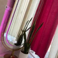 ارائه تمامی خدمات زیبایی|خدمات آرایشگری و زیبایی|قم, طلاب غیر ایرانی|دیوار