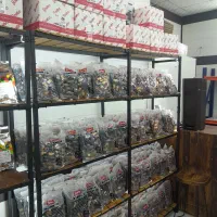 استخدام ادمین حرفه‌ ای اینستاگرام ( خانم / آقا )|استخدام رایانه و فناوری اطلاعات|کرج, فاز ۳ گوهردشت|دیوار