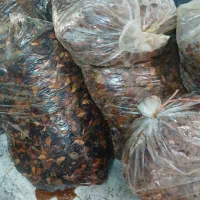 خرما|حراج|خمینی‌شهر, |دیوار