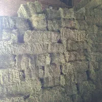 یونجه|لوازم جانبی حیوانات|پیر سلیمان, |دیوار