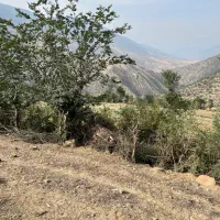 زمین تیلم دراسله بر اصلی جاده سرمایه گذاری