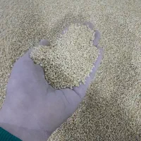 پخش عمده لوازم پرنده|لوازم جانبی حیوانات|خاوران, |دیوار