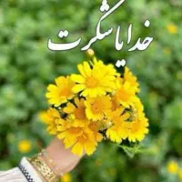 کارت به نام زینب صیادی گمشده