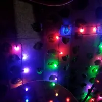 ریسه ال ای دی . چند رنگ . 5 متر|ریسه و چراغ تزئینی|ورامین, |دیوار